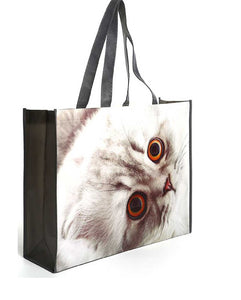 SHOPPING BAG RECYCLABLE